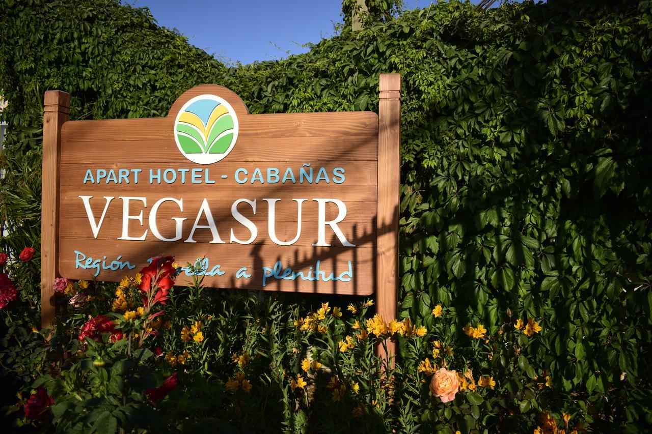 Apart Hotel Y Cabanas Vegasur La Serena Exterior photo